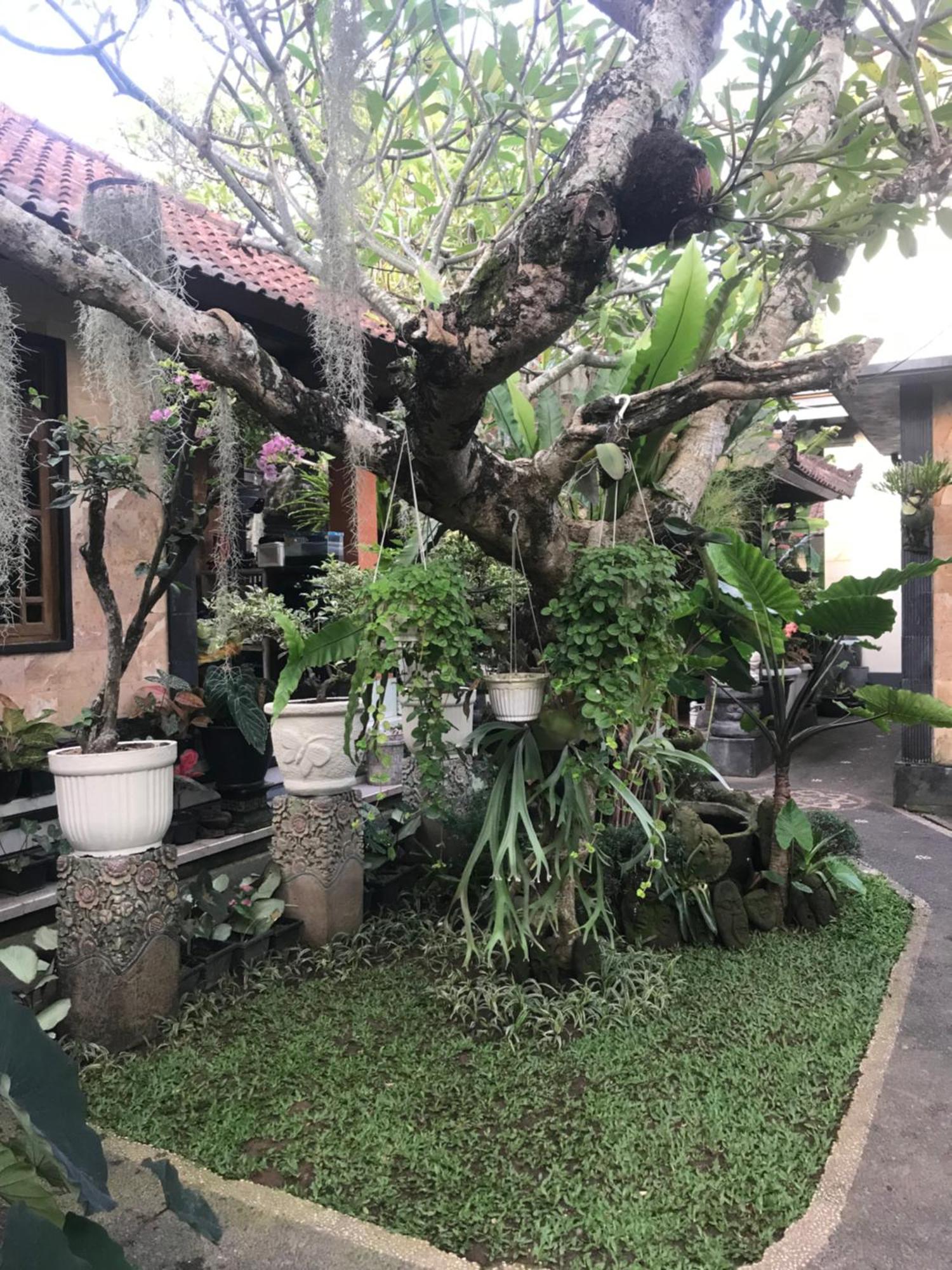 Gus Arditya Homestay أوبود المظهر الخارجي الصورة