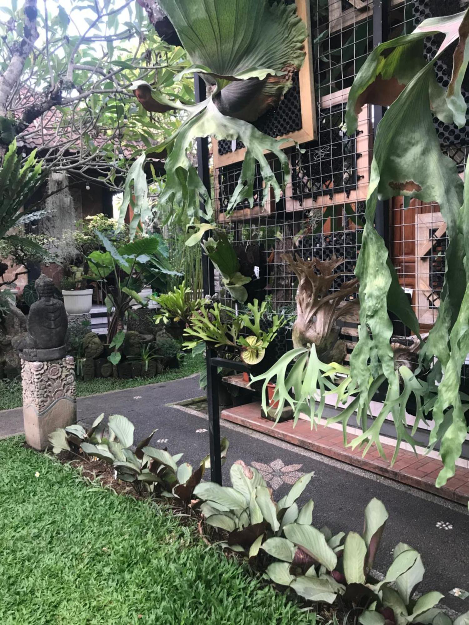 Gus Arditya Homestay أوبود المظهر الخارجي الصورة