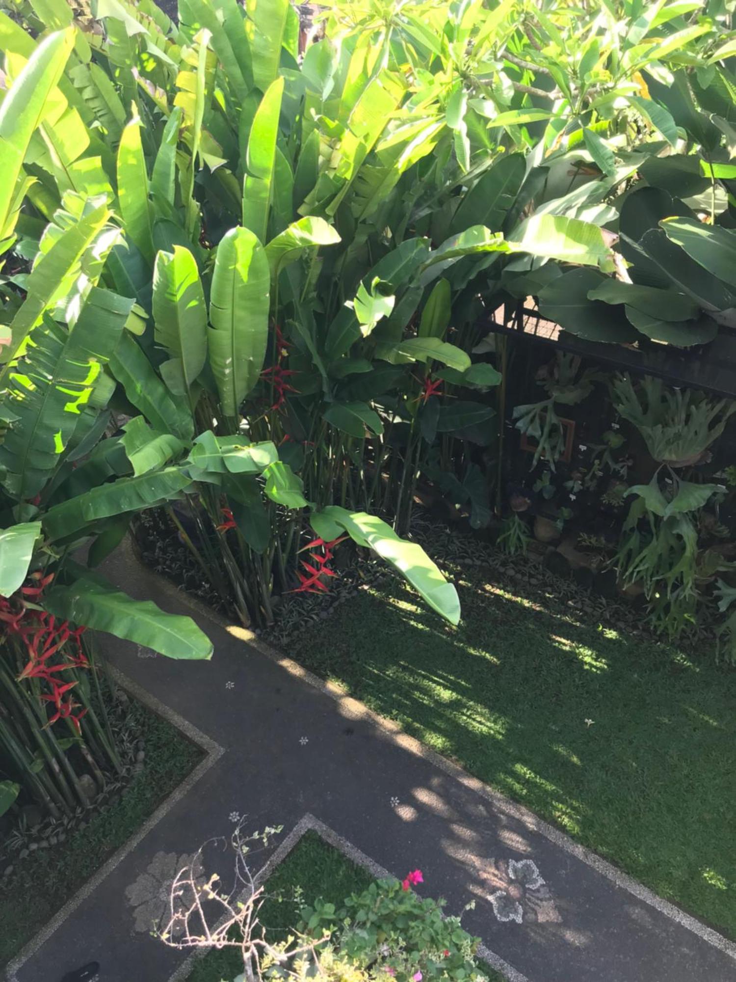 Gus Arditya Homestay أوبود المظهر الخارجي الصورة