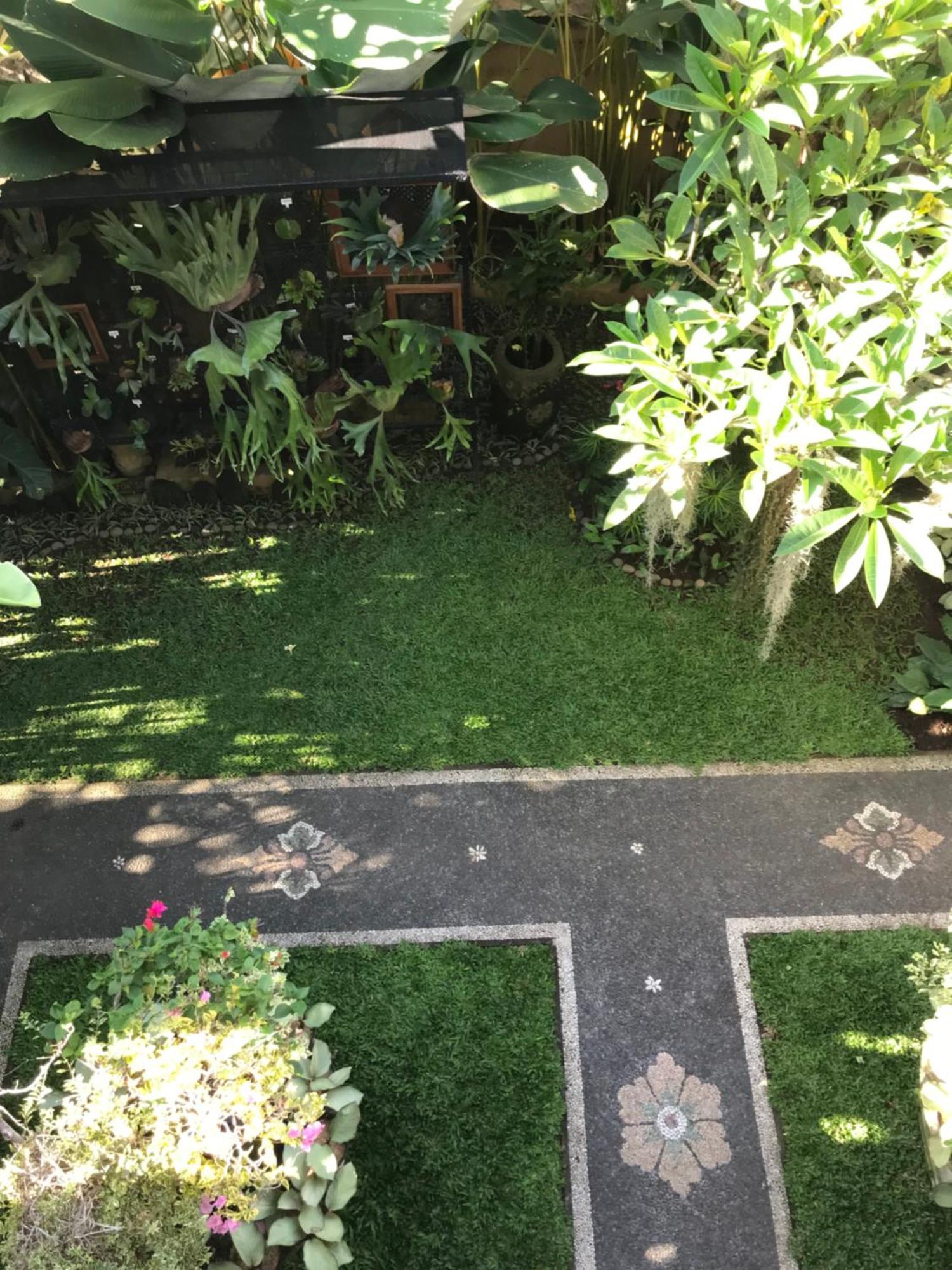 Gus Arditya Homestay أوبود المظهر الخارجي الصورة