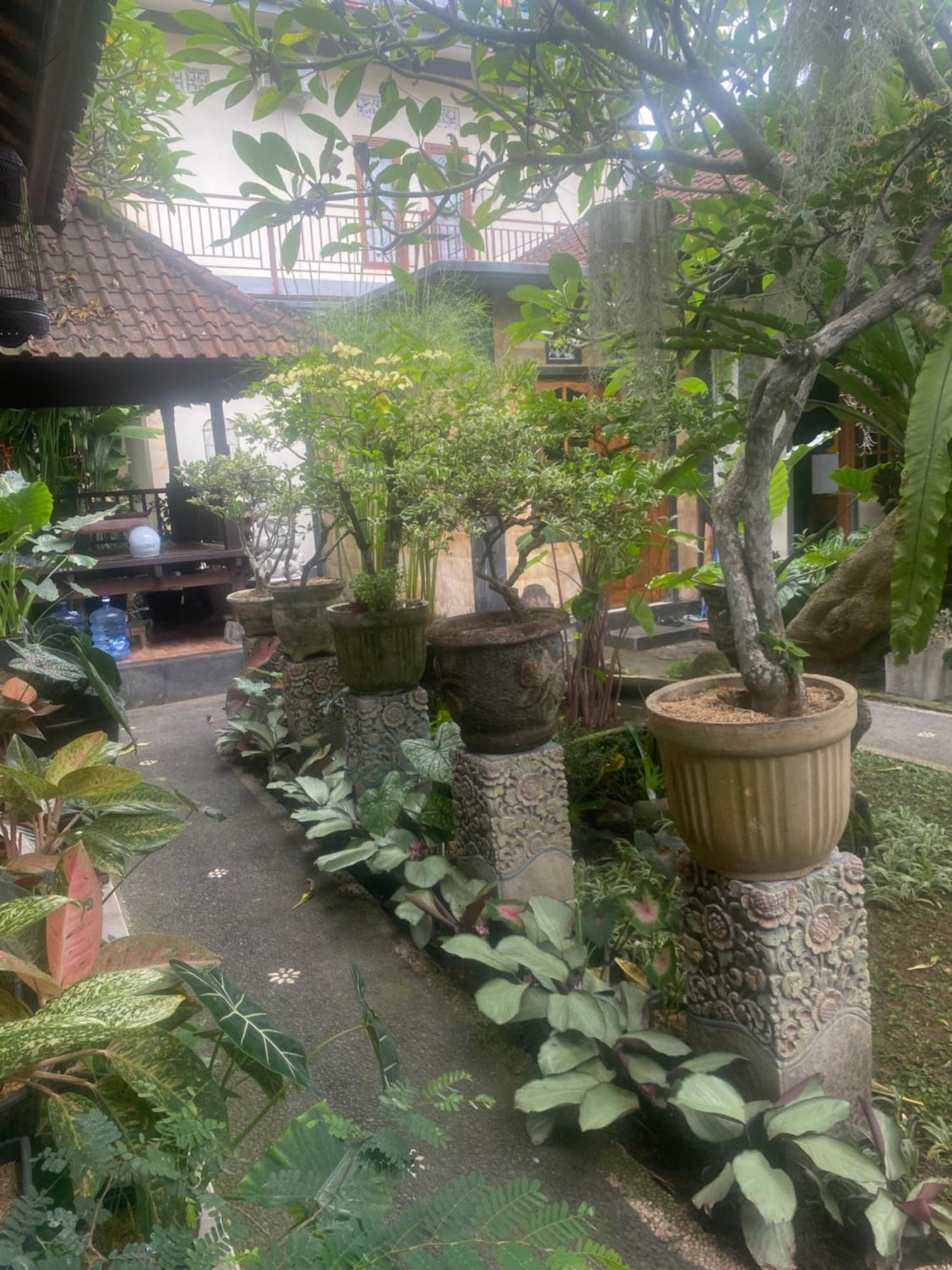 Gus Arditya Homestay أوبود المظهر الخارجي الصورة