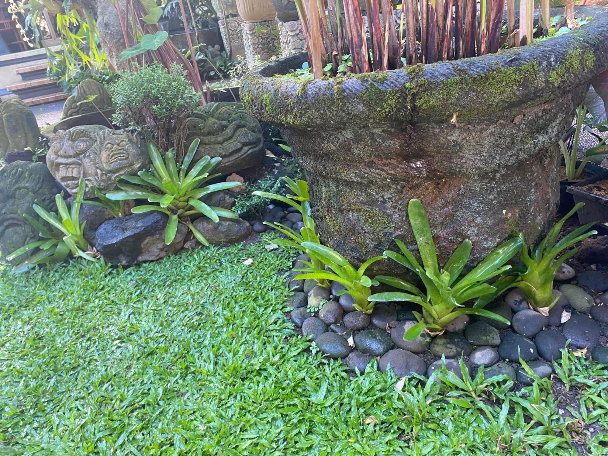 Gus Arditya Homestay أوبود المظهر الخارجي الصورة