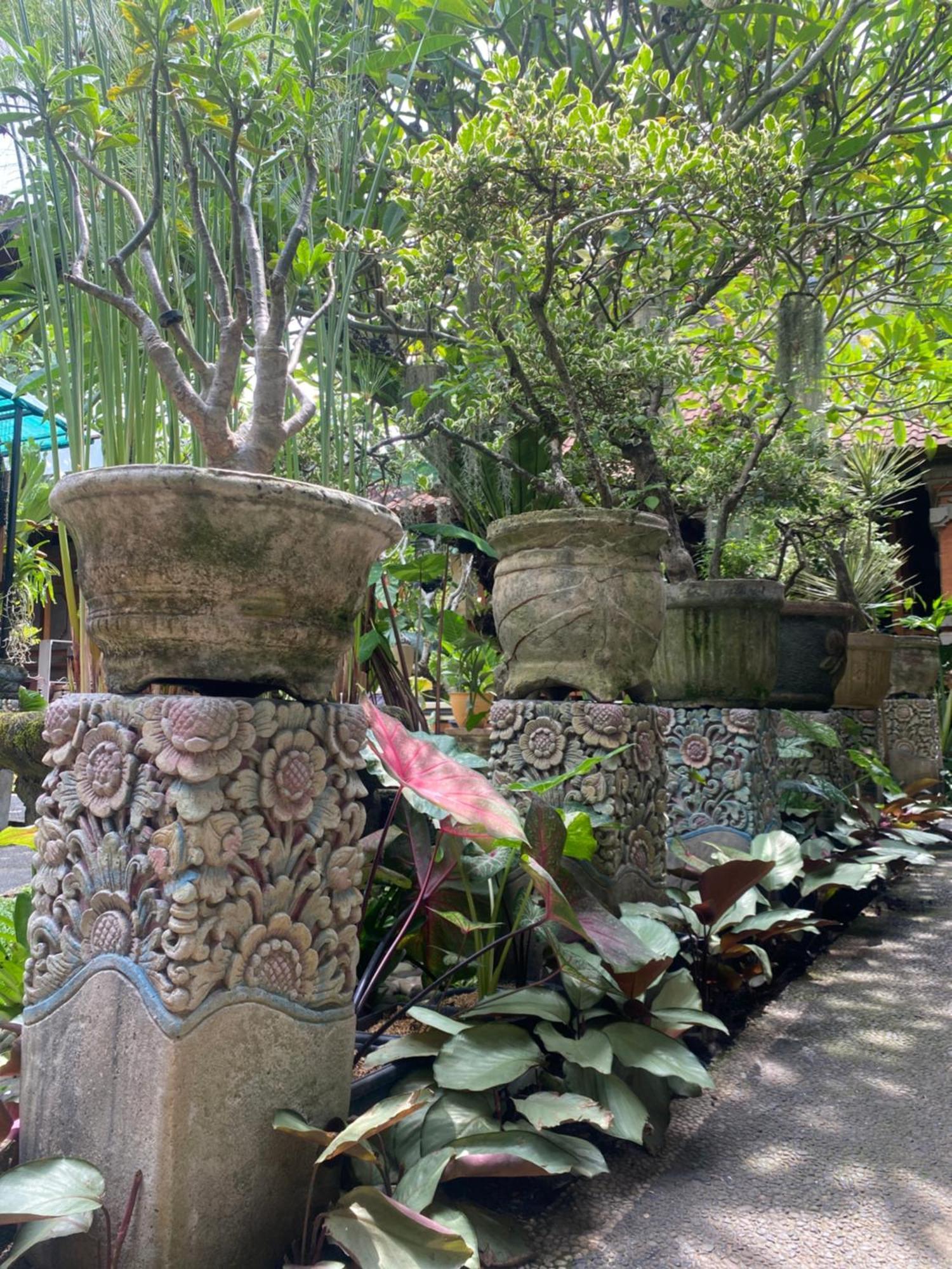 Gus Arditya Homestay أوبود المظهر الخارجي الصورة