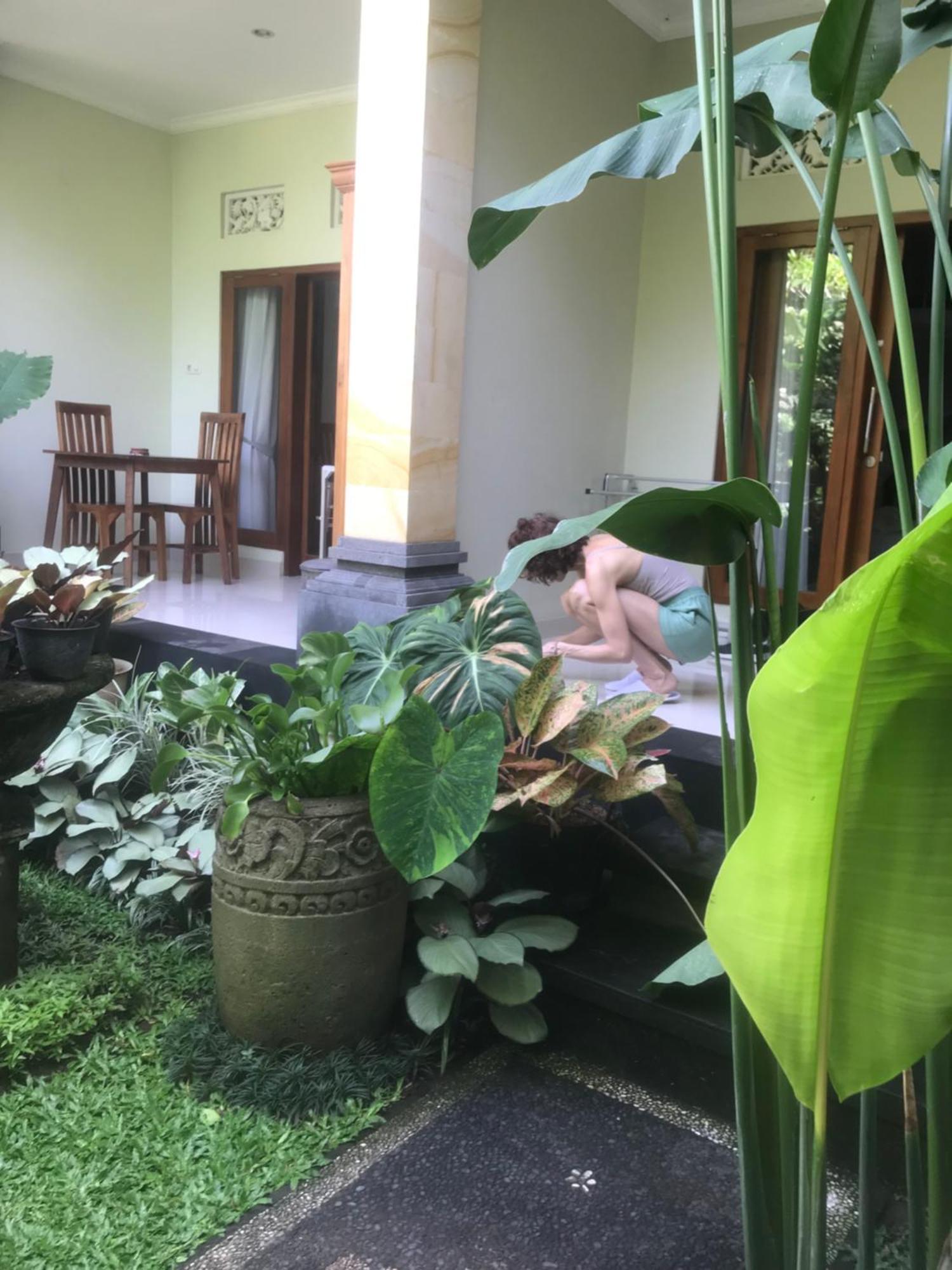 Gus Arditya Homestay أوبود المظهر الخارجي الصورة